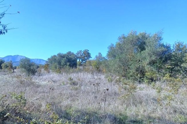photo6
