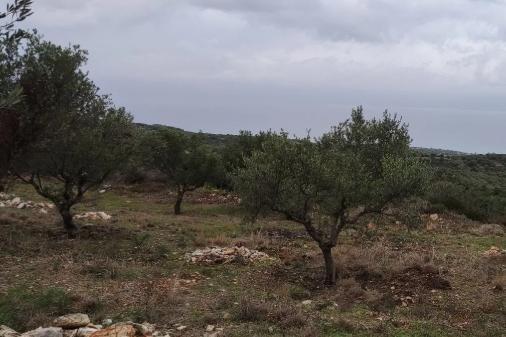 photo7
