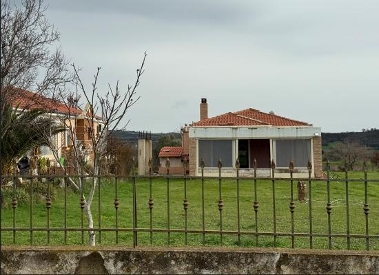 photo2