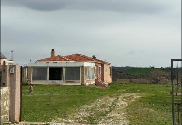 photo3