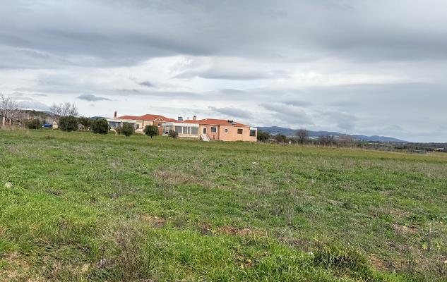 photo4