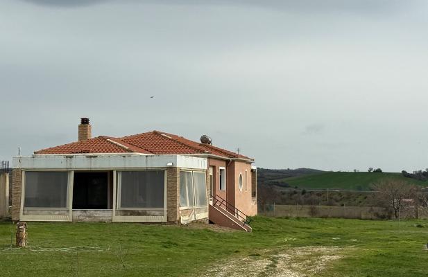 photo5