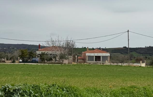 photomain