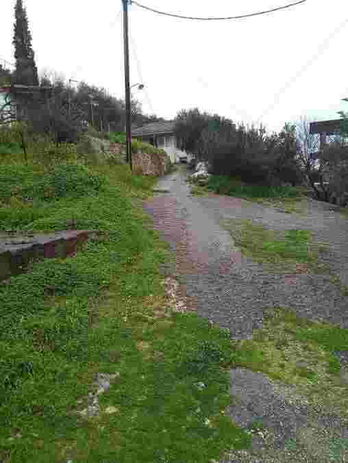 photo0