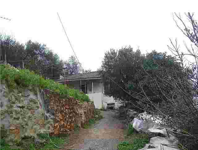 photo1