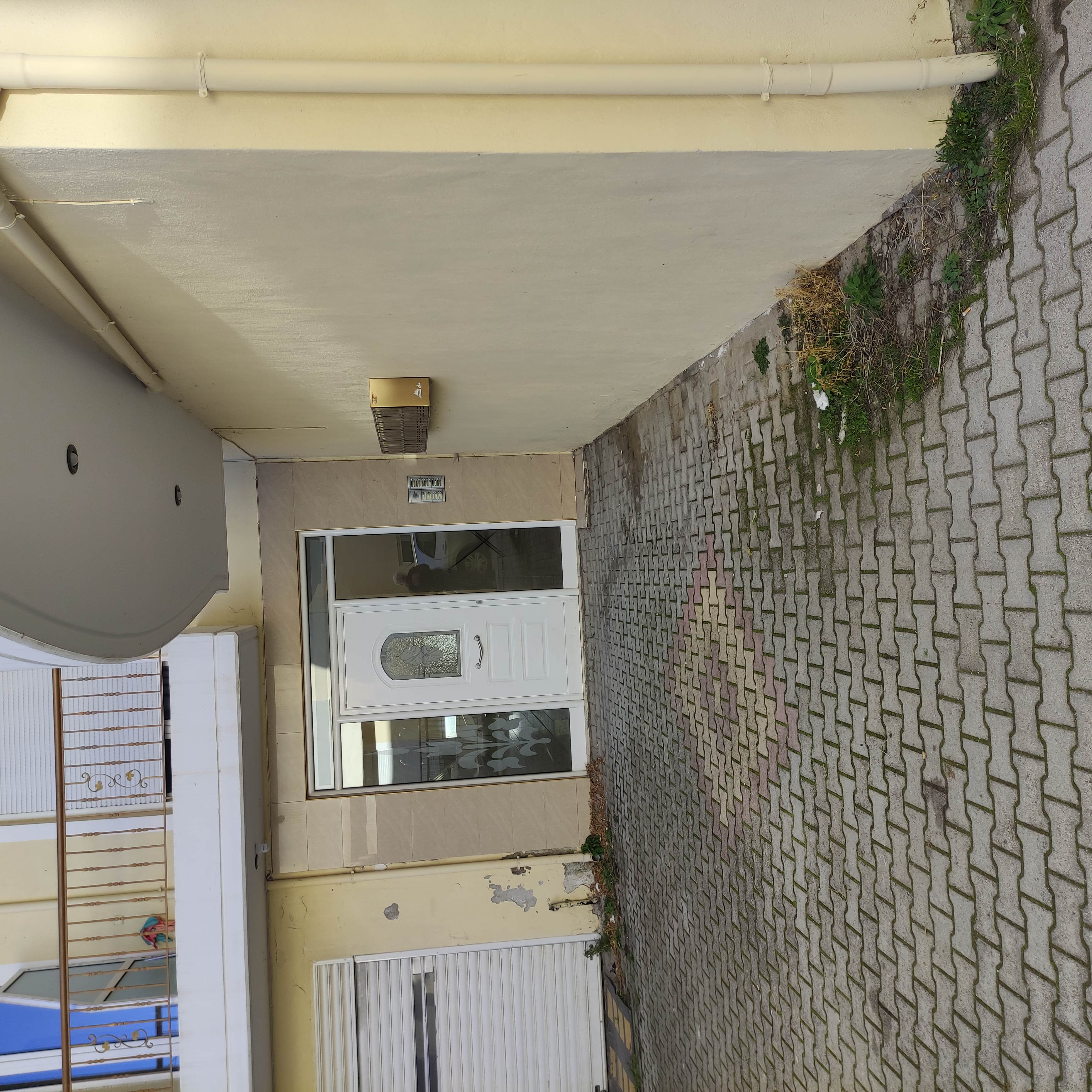 photo1