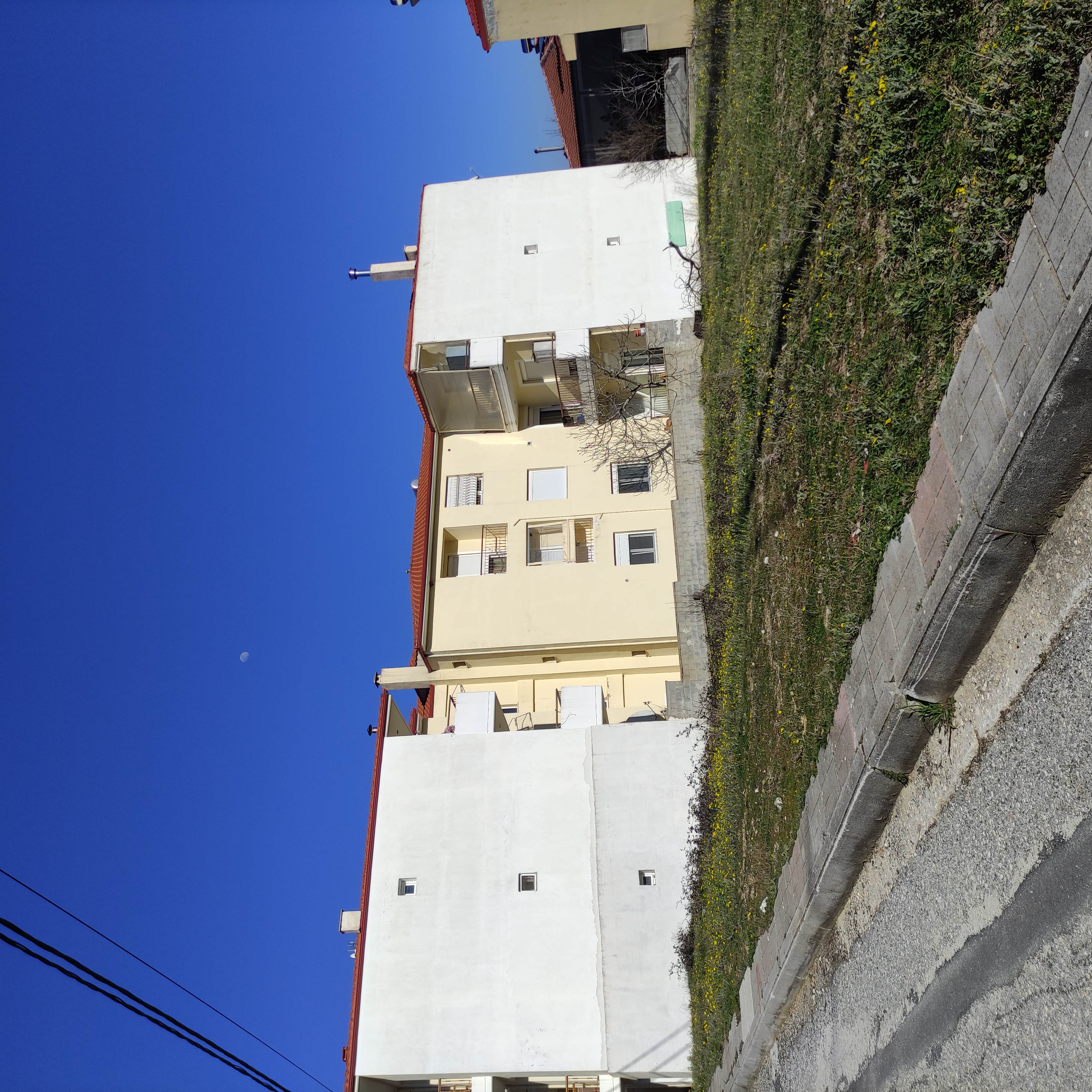 photo2