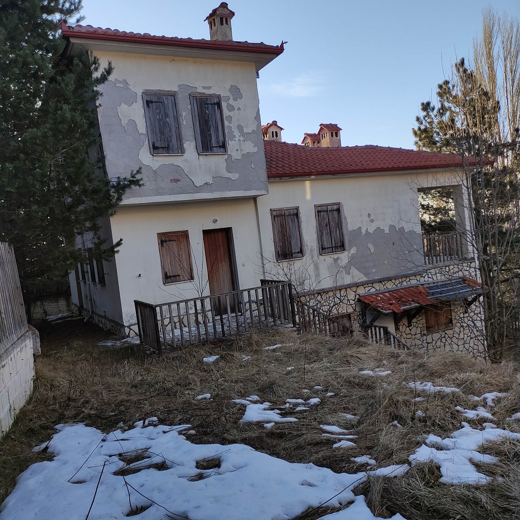 photo11