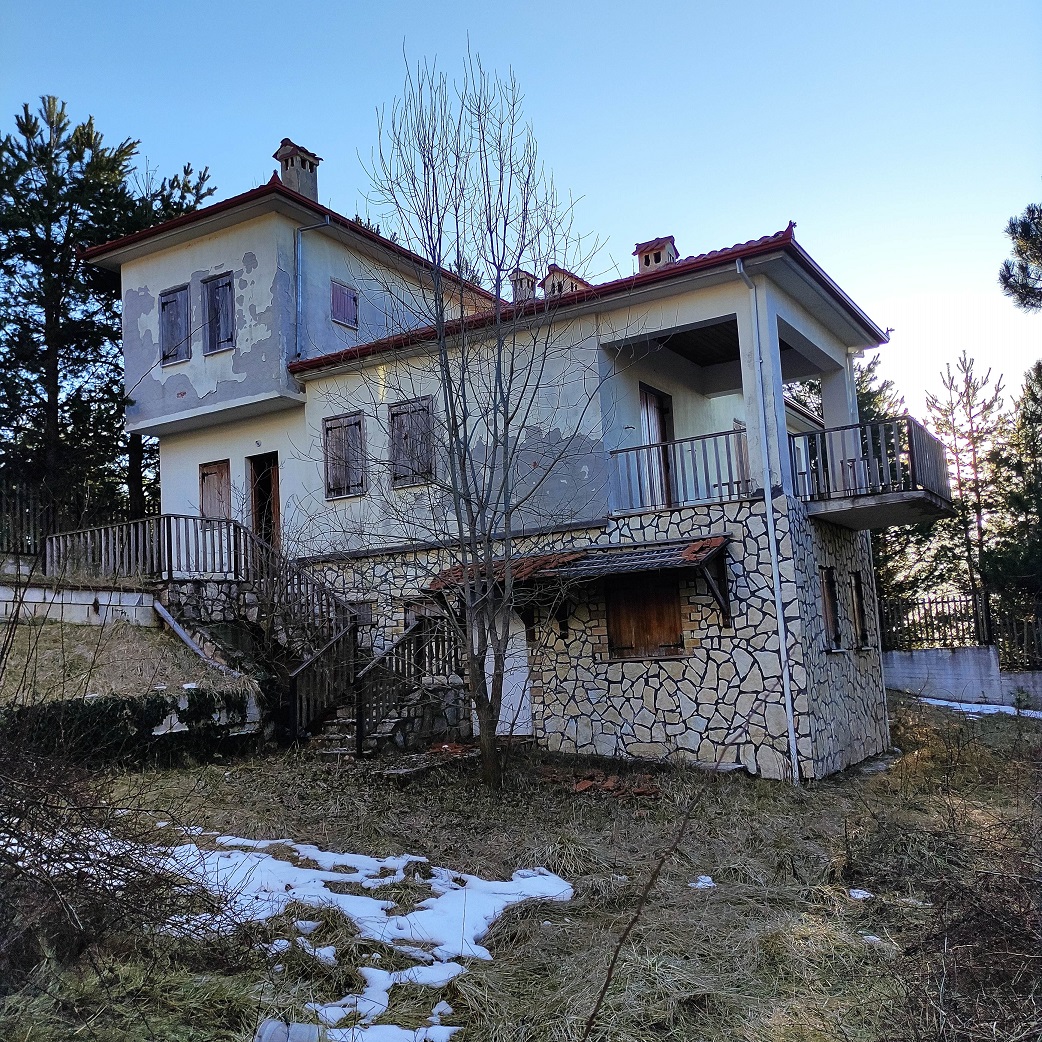 photo5