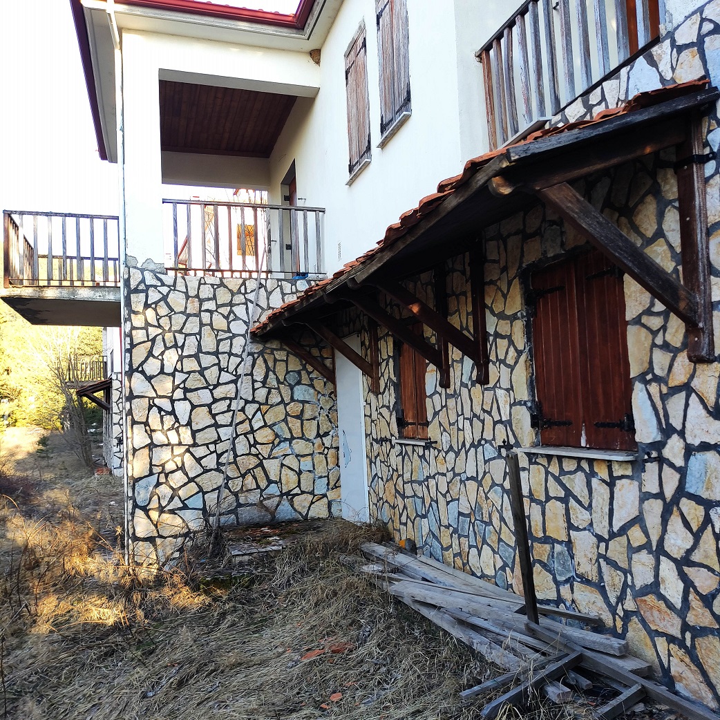 photo8