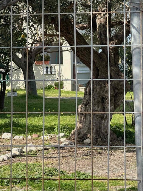 photo3