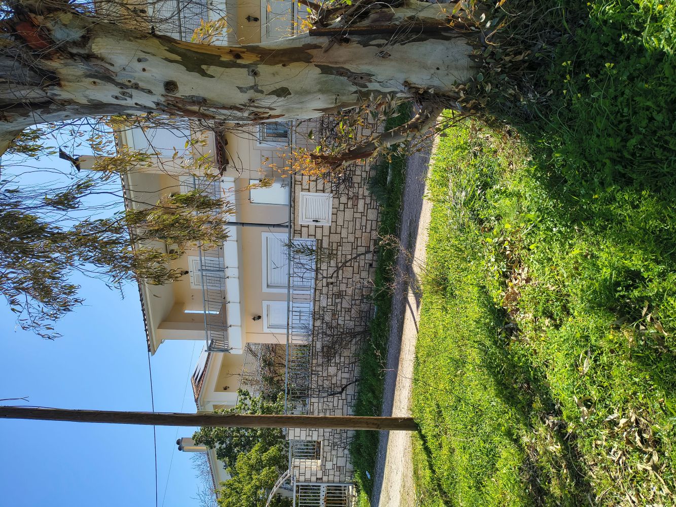 photo2