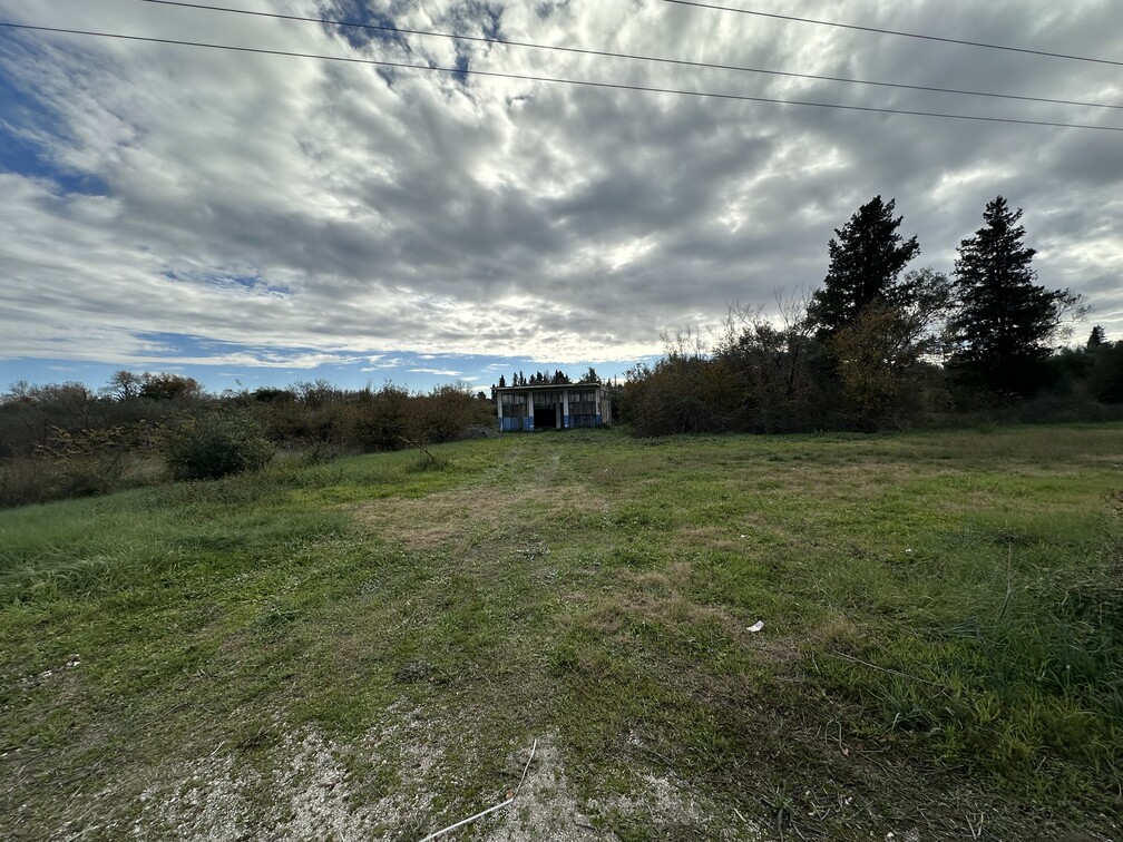 photo1