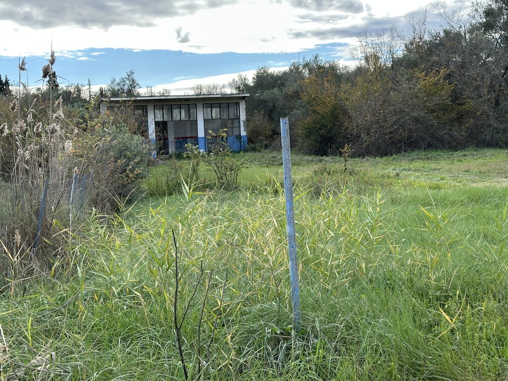photo1