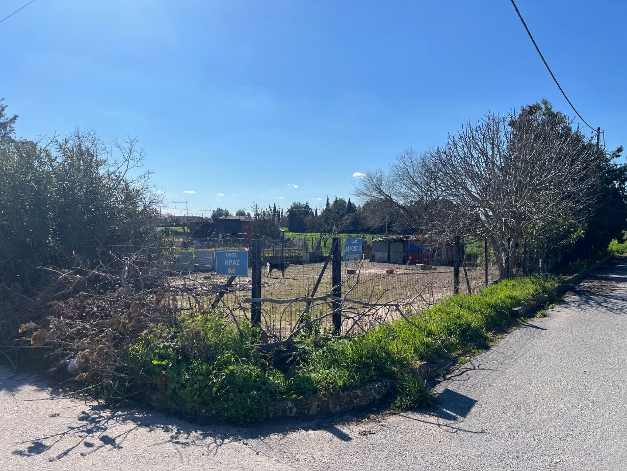 photo0