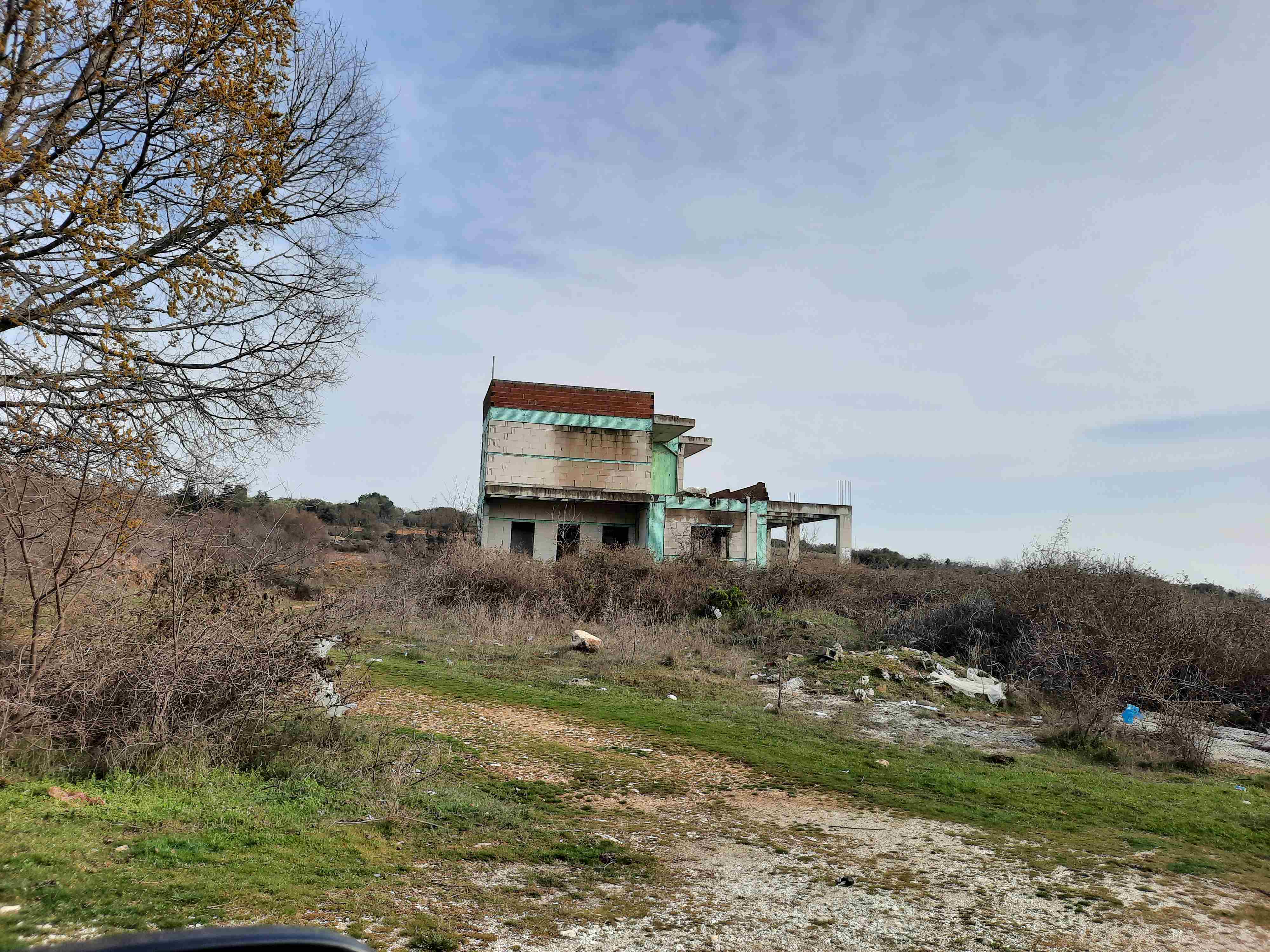 photo1