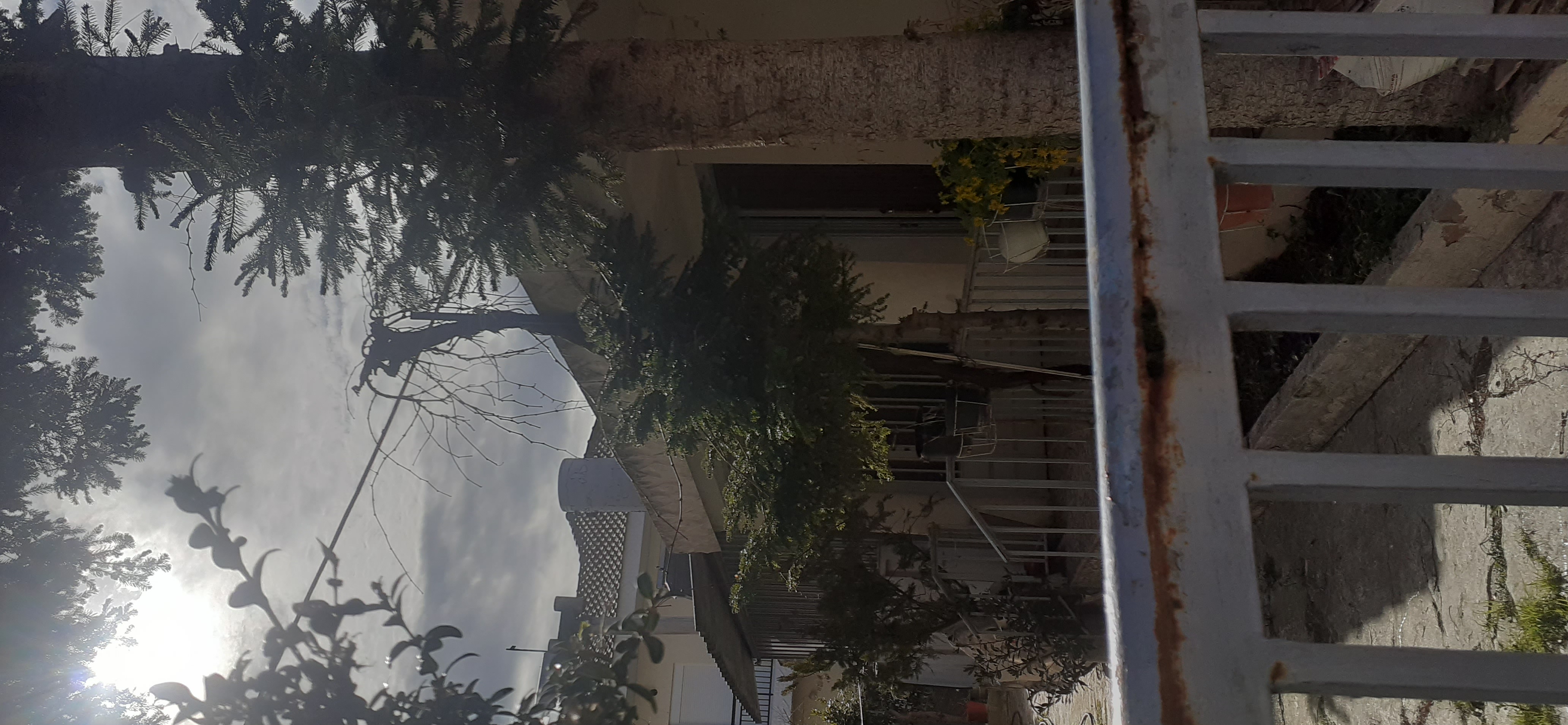 photo1