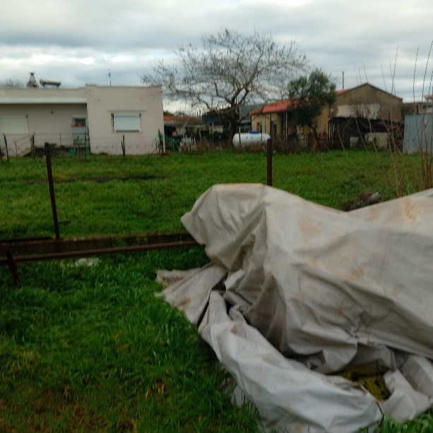 photo1