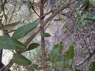 photo2