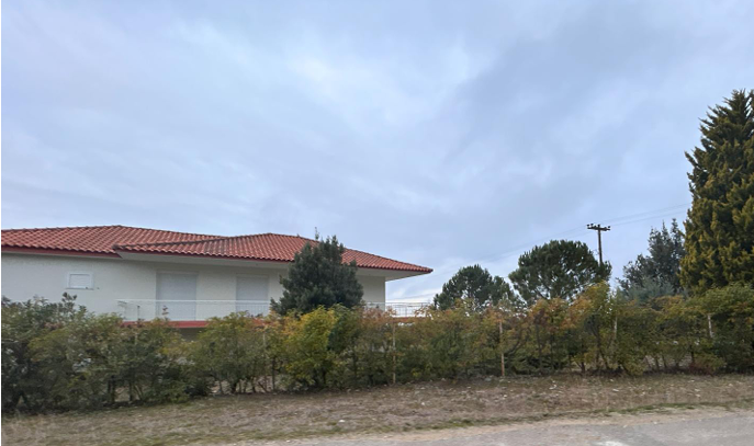 photo0