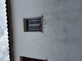 photo2