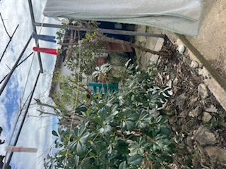 photo4