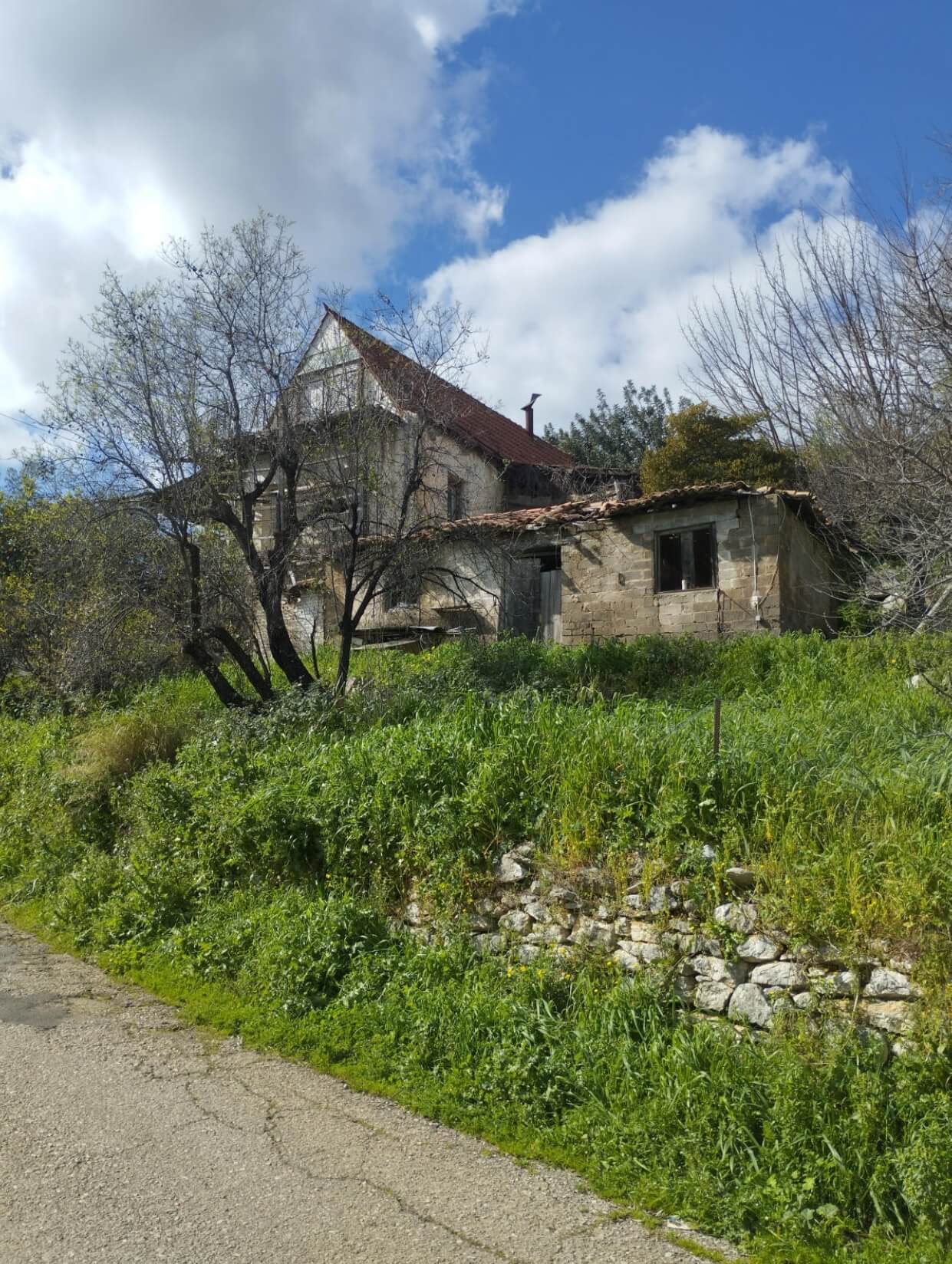 photo1