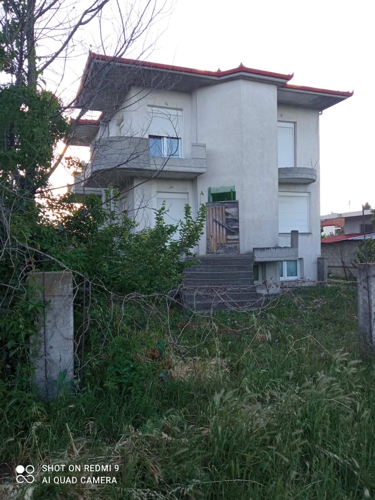 photo0