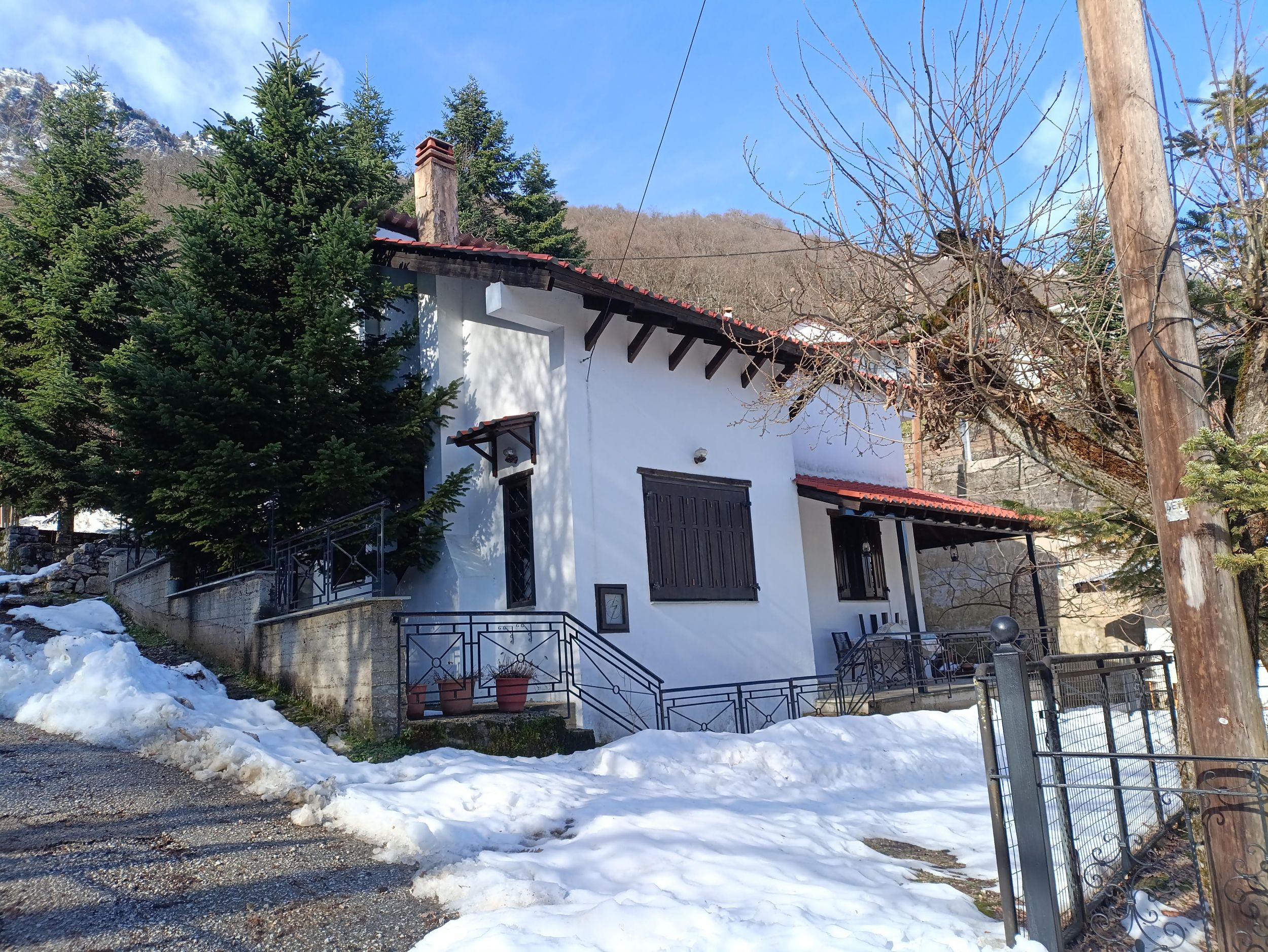 photo1