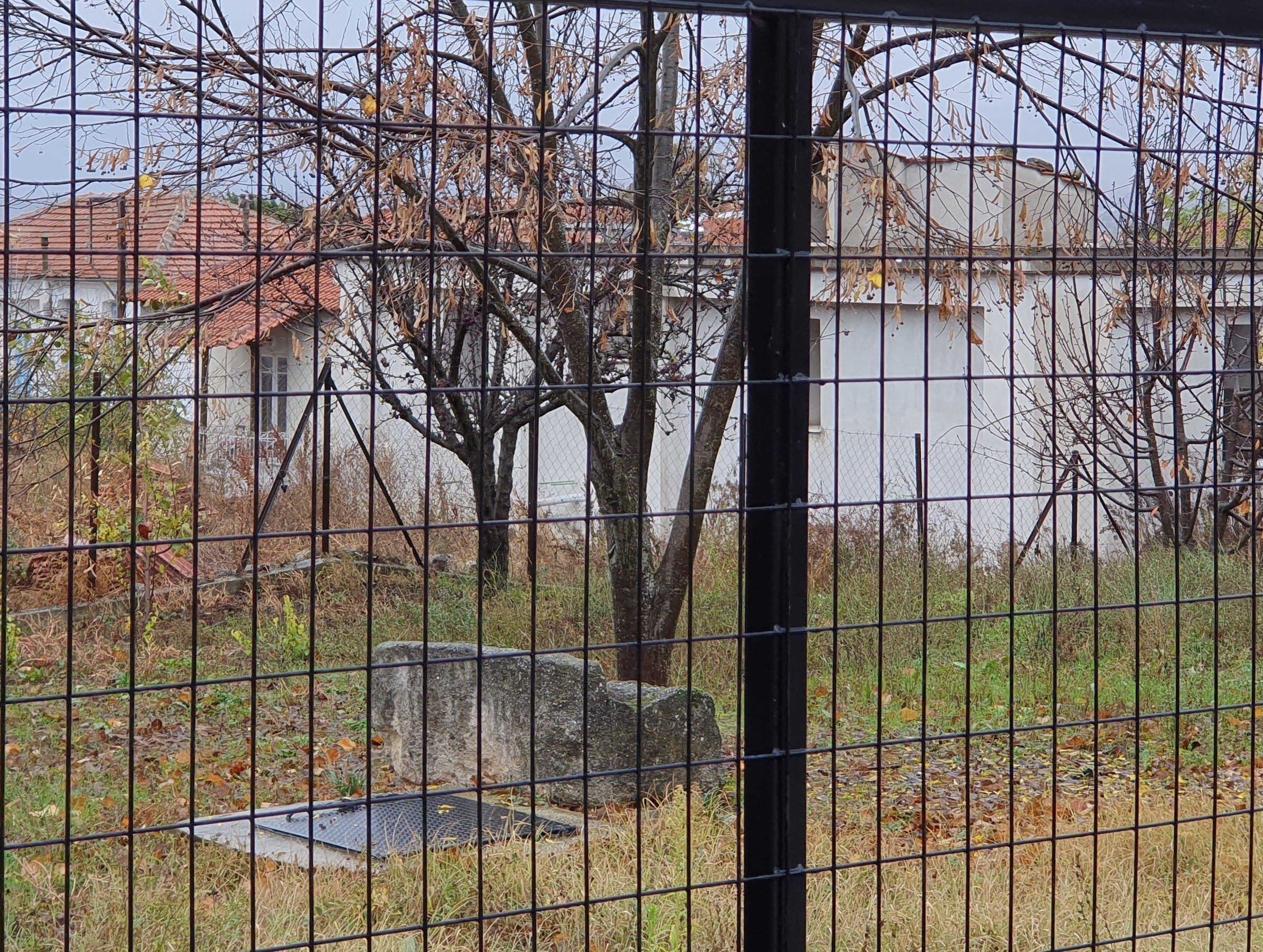 photo1