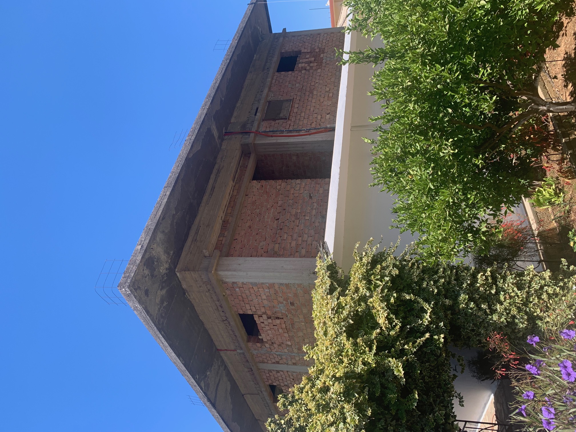 photo1