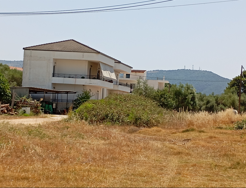 photo2