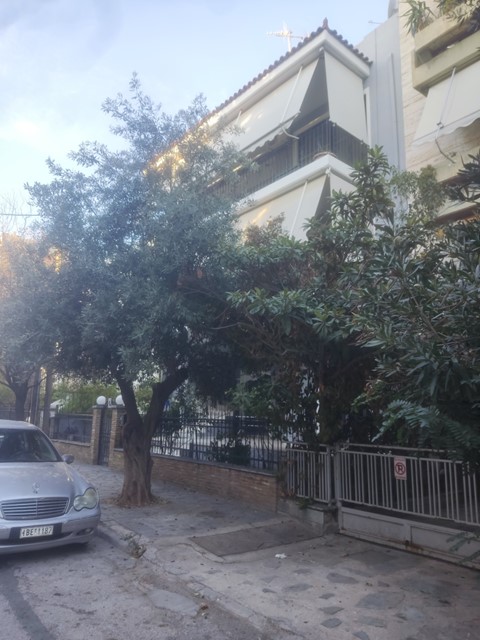 photo1
