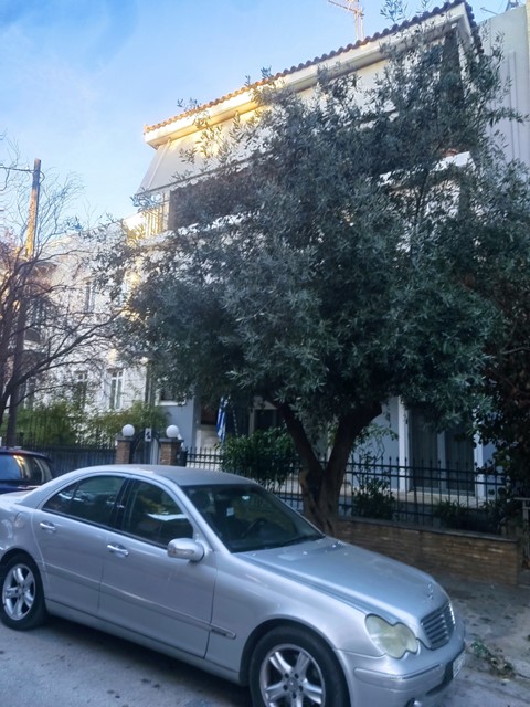 photo3