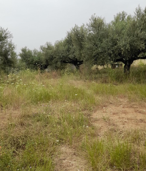 photo1