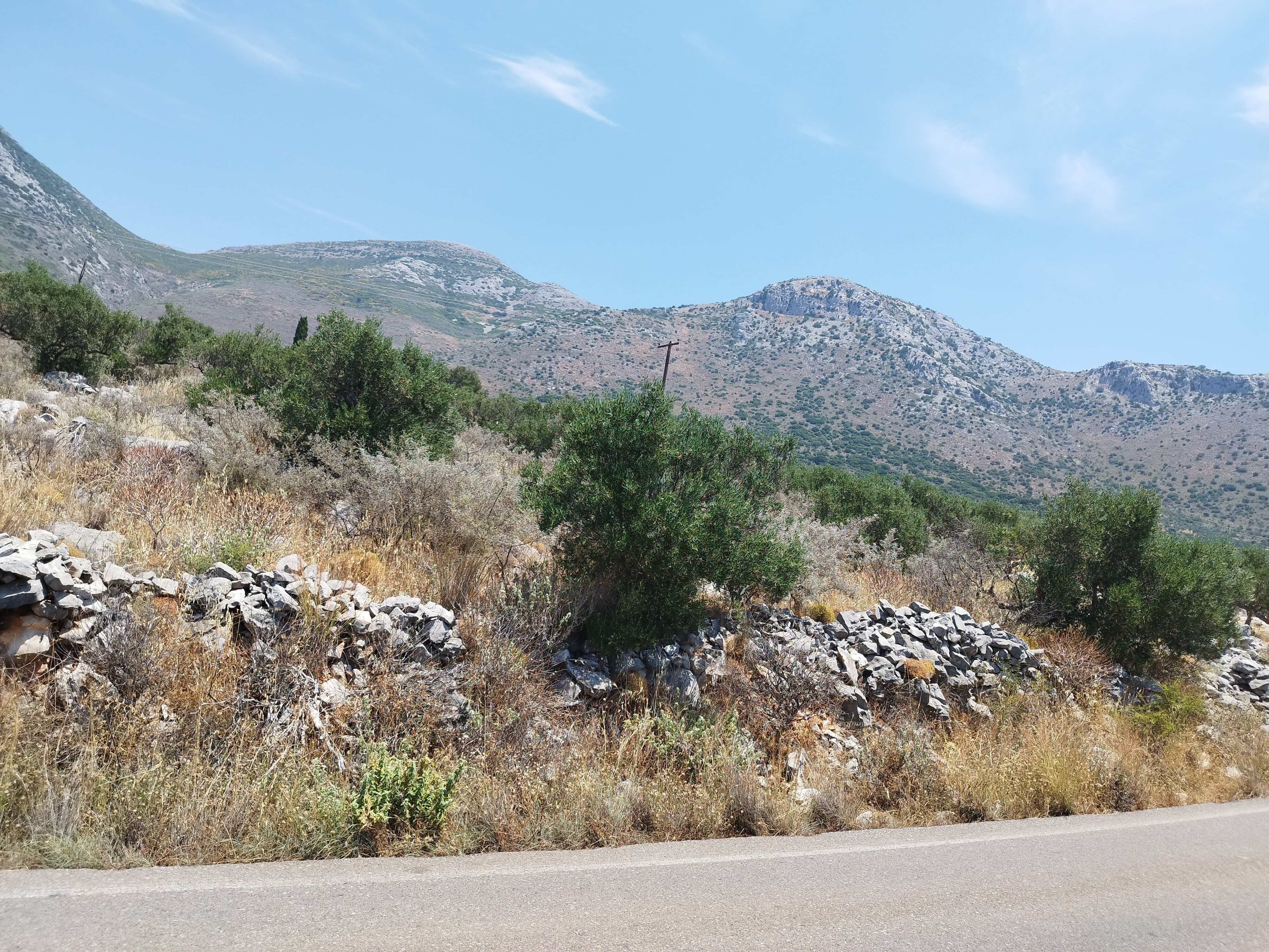 Αγροτεμάχιο  σε πλειστηριασμό Δήμος Ανατολικής Μάνης