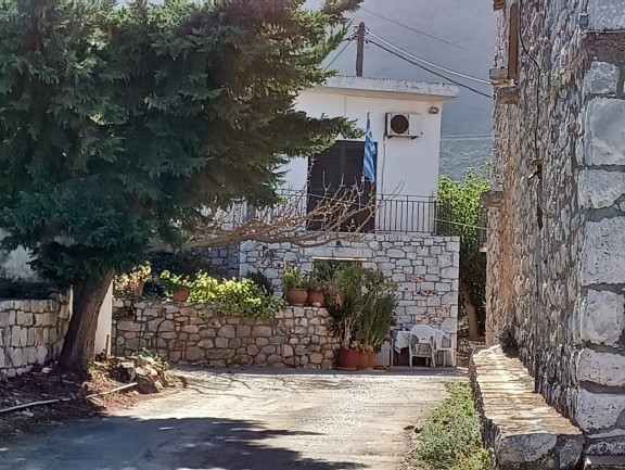 photo2