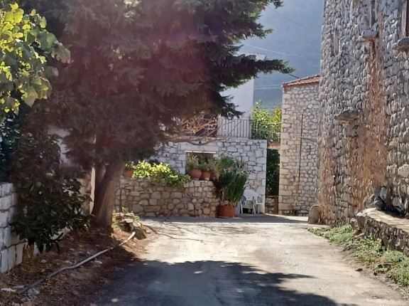 photo3