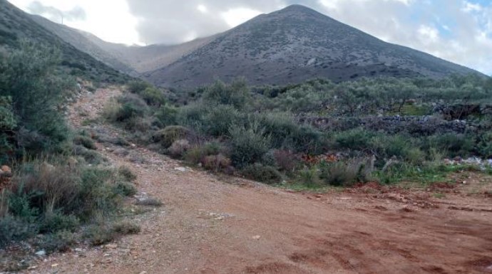 Αγροτεμάχιο  σε πλειστηριασμό Δήμος Ανατολικής Μάνης