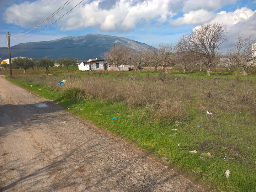 photo11