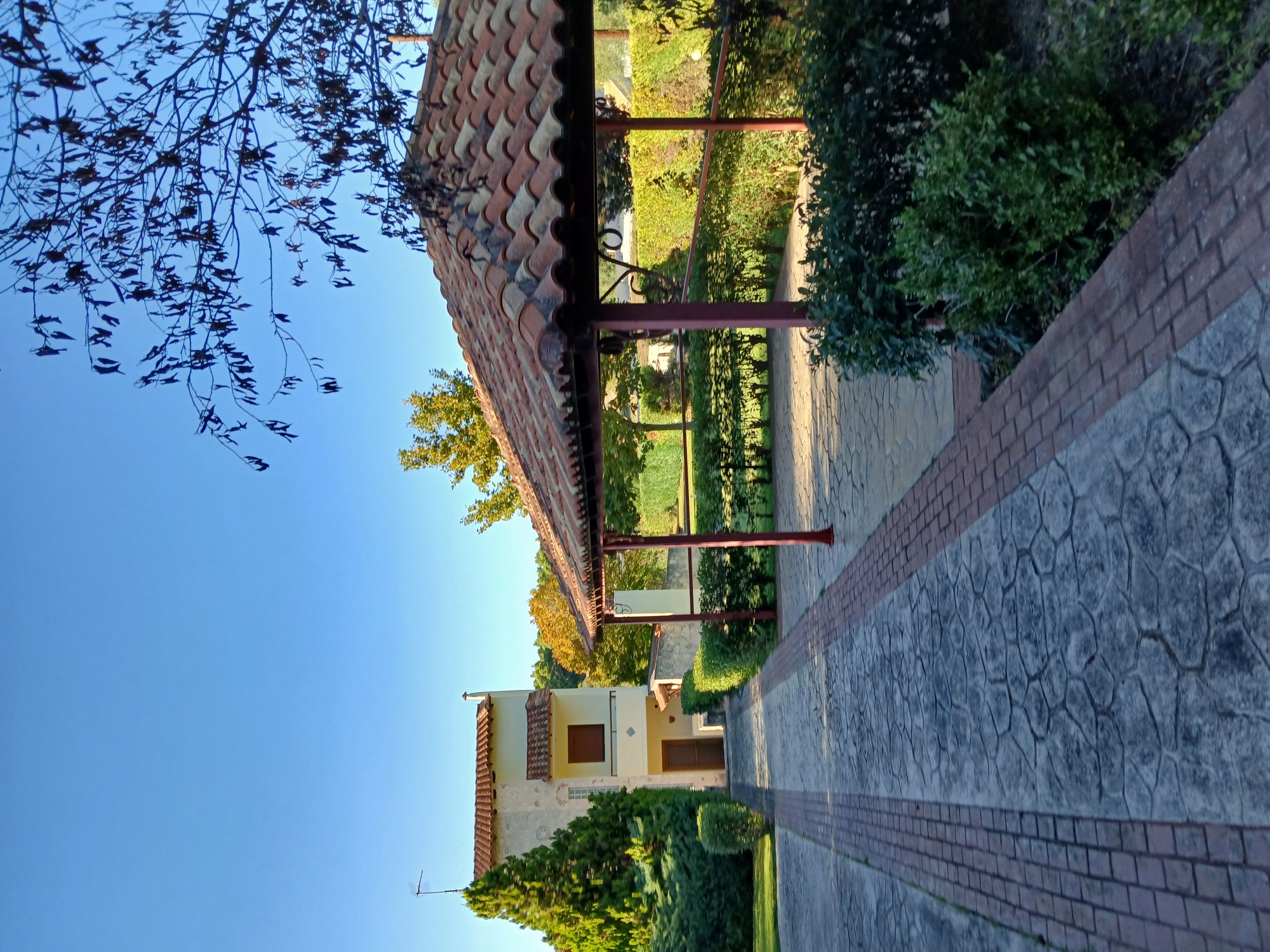 photo1