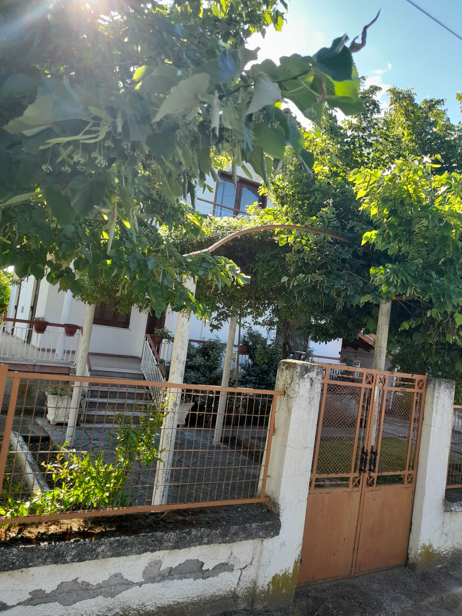 Οικόπεδο με κτίσμα  σε πλειστηριασμό Δήμος Παιονίας