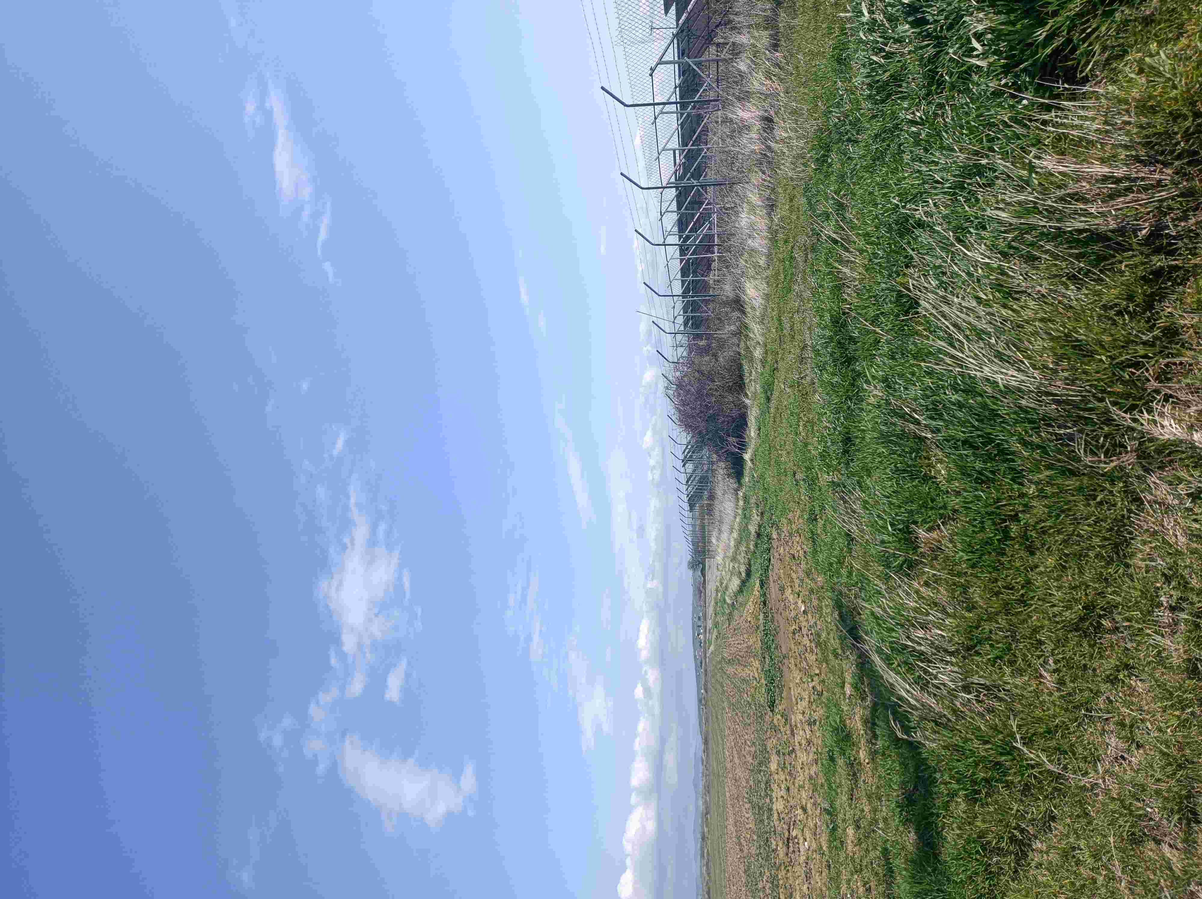 photo2