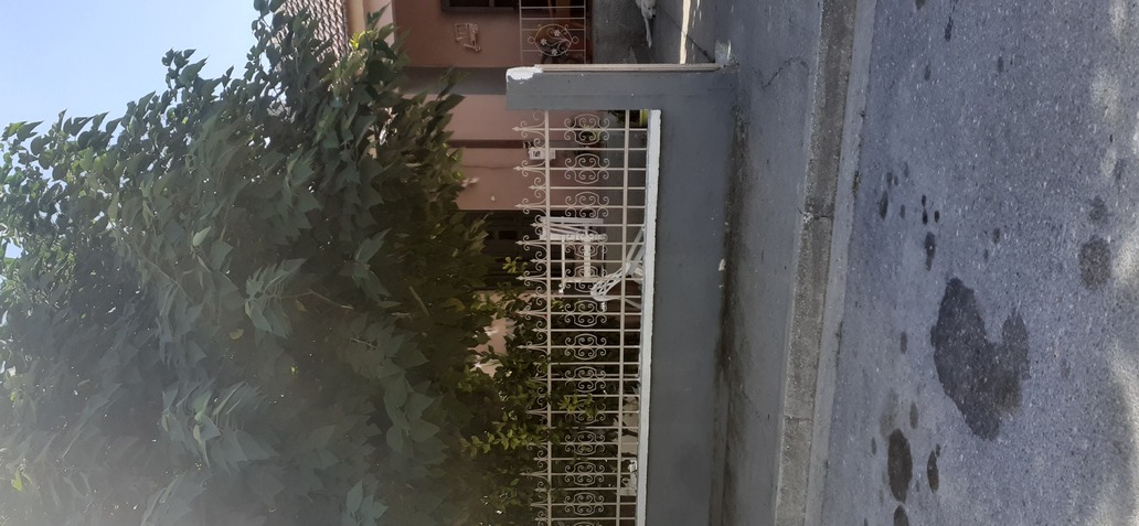 photo0