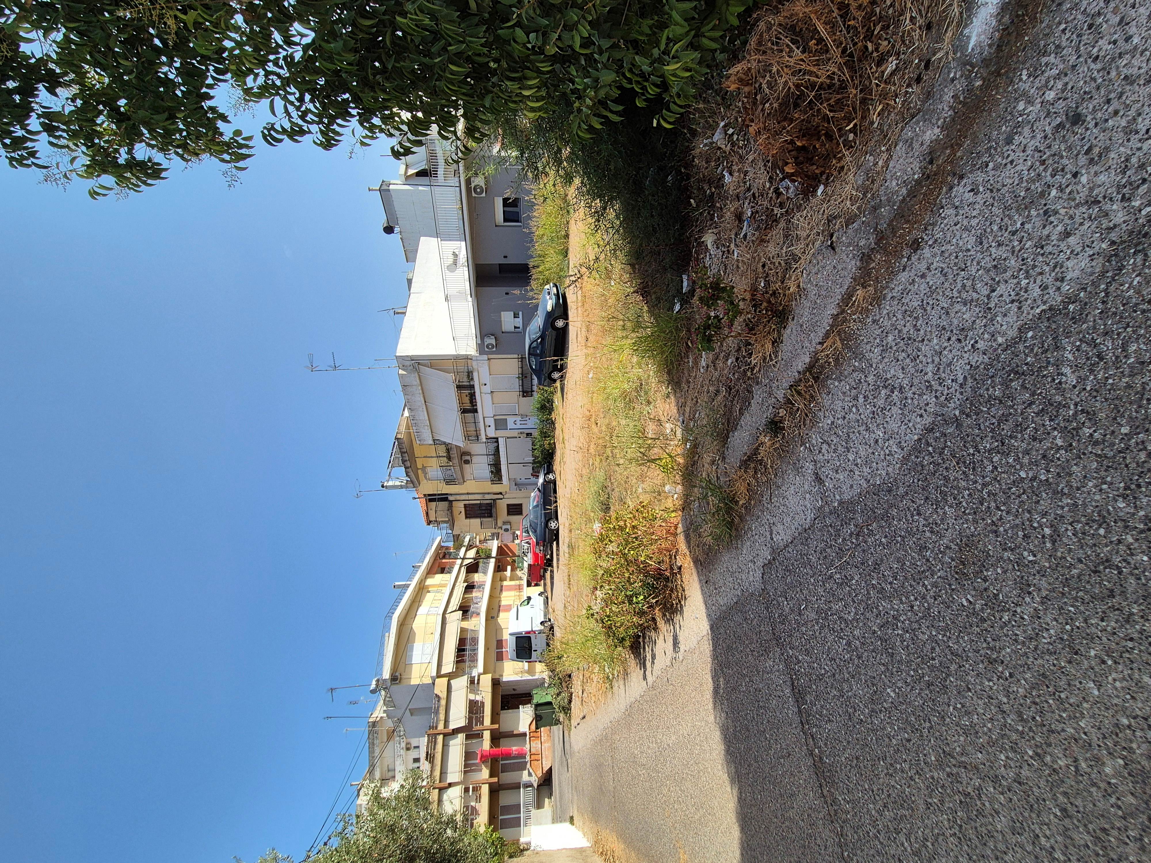 photo1