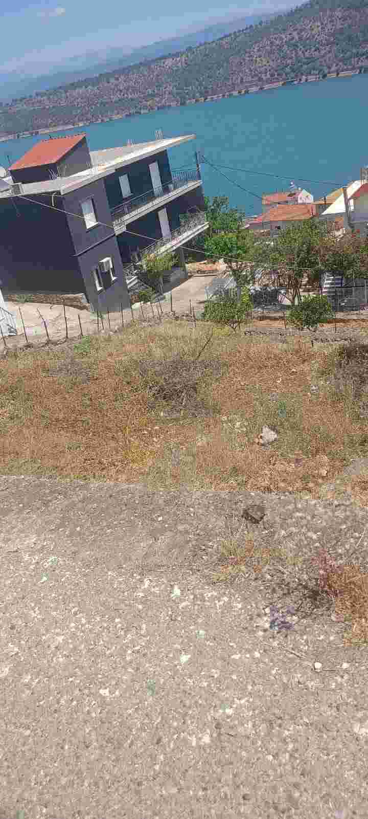 photo2