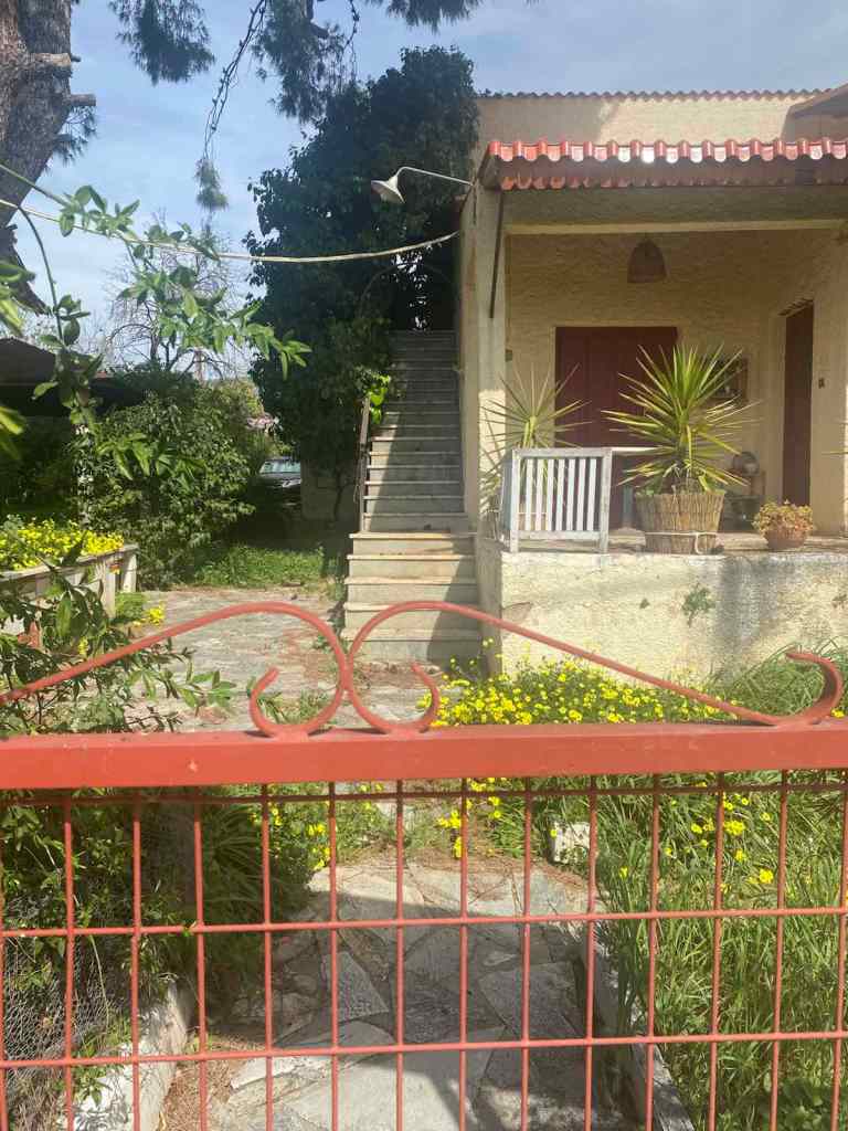 photo1