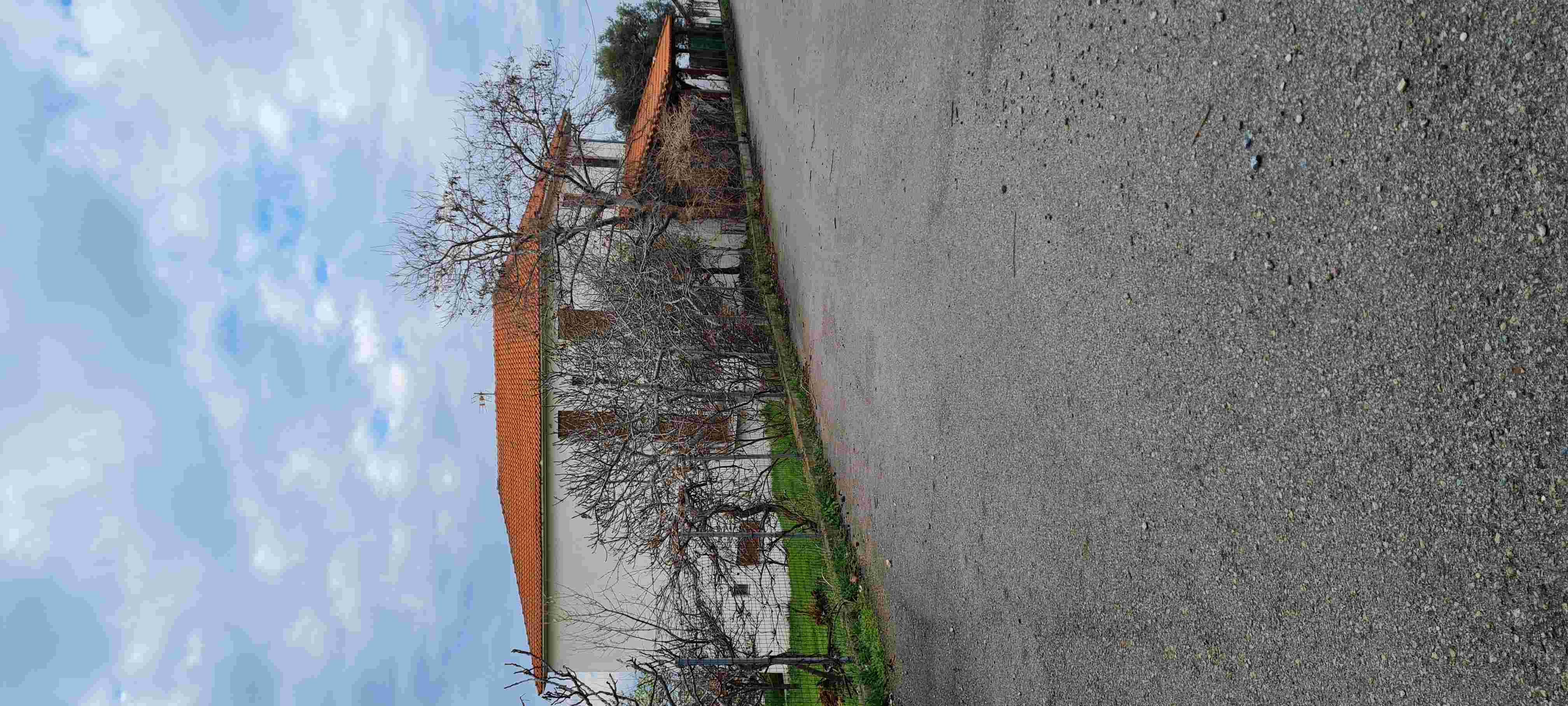 photo0