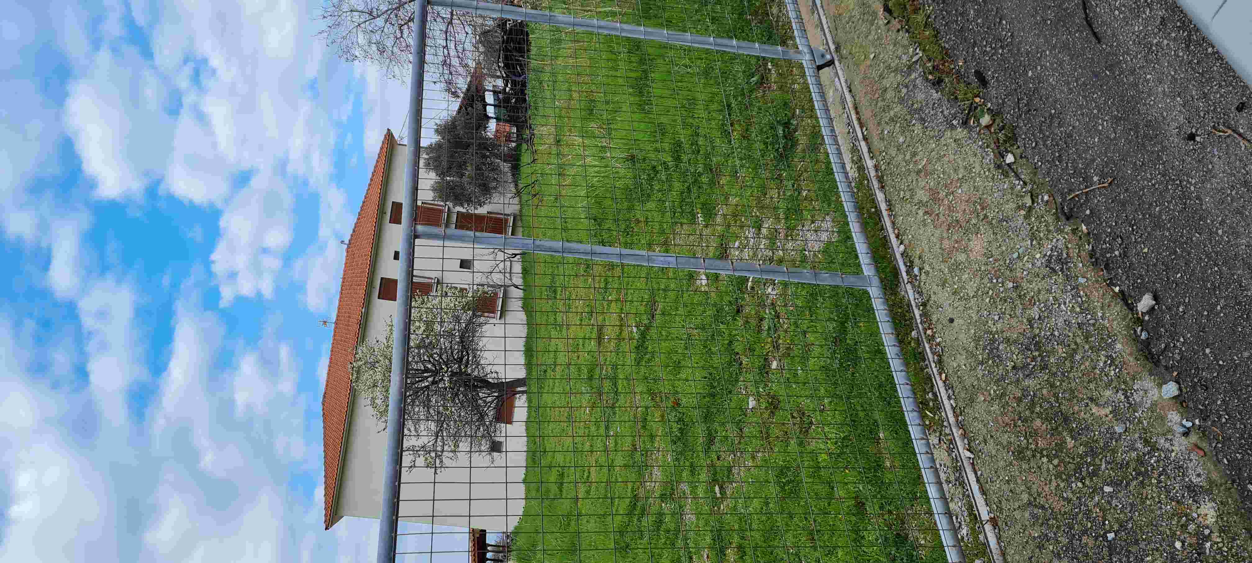 photo1