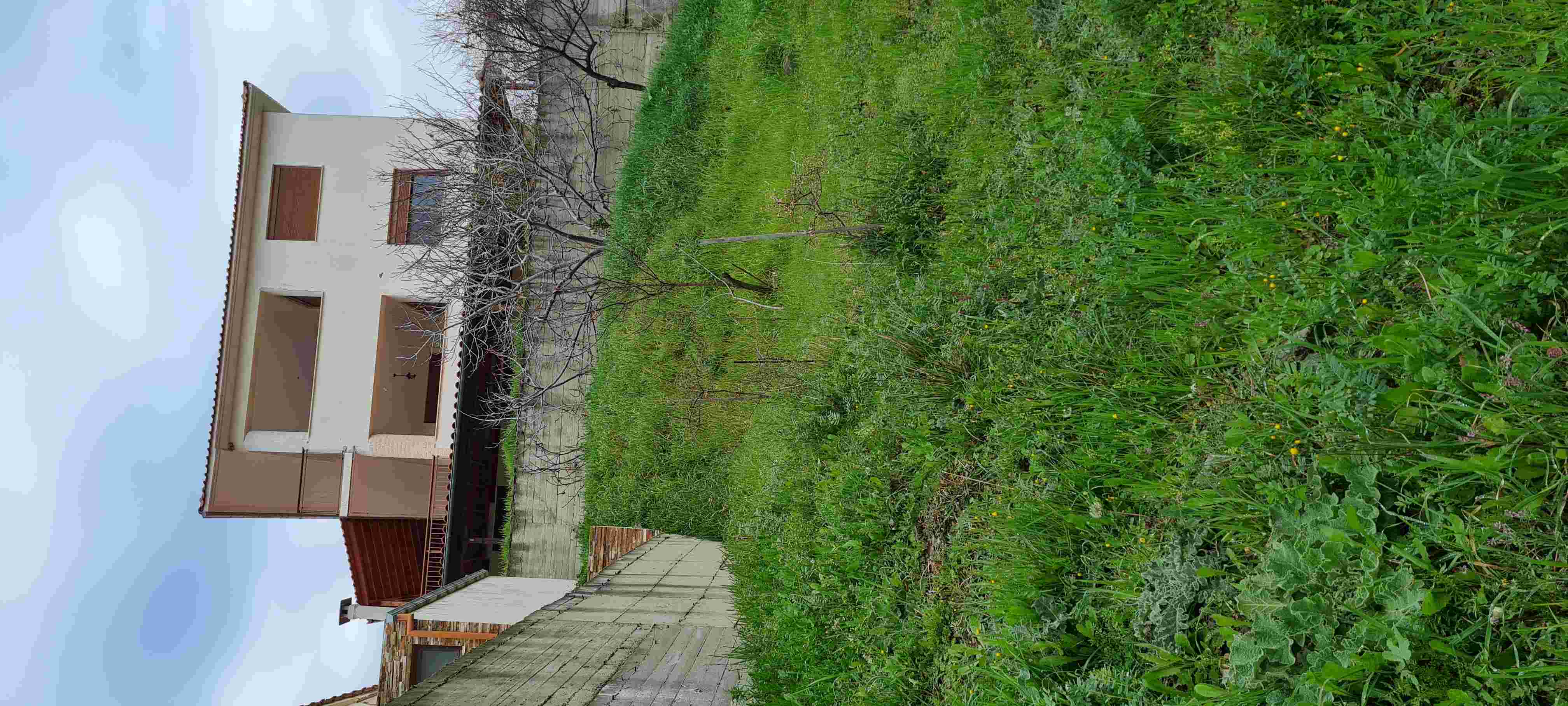 photo2